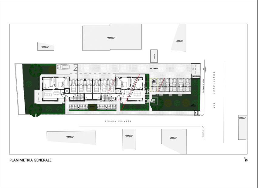PLAN. P. TERRA